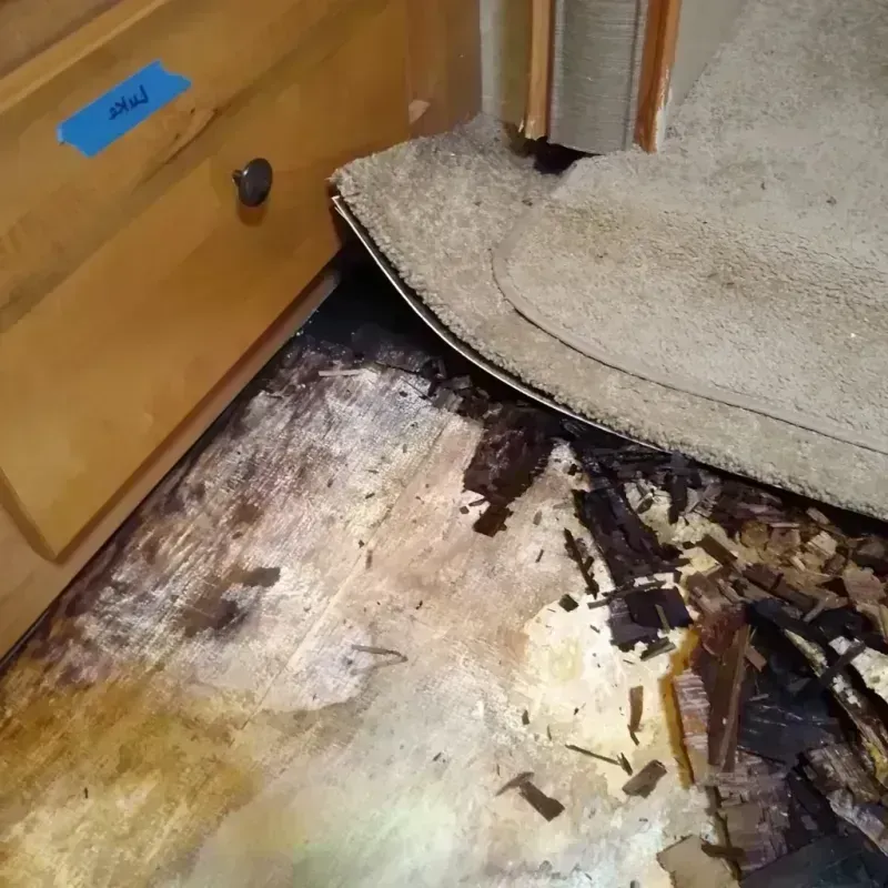 Best Wood Floor Water Damage Service in Manor, PA